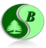 Borus